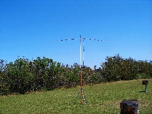 Satellites & Spaghetti 2005 017.jpg (963640 bytes)